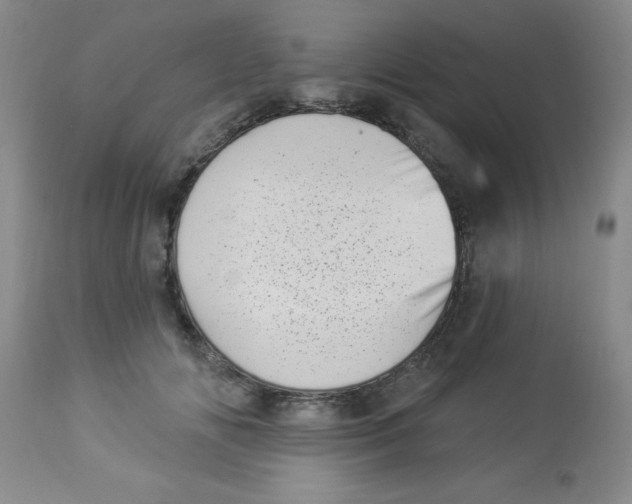 X0000113940702200910231944