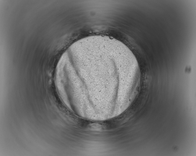 X0000113940703200910231944
