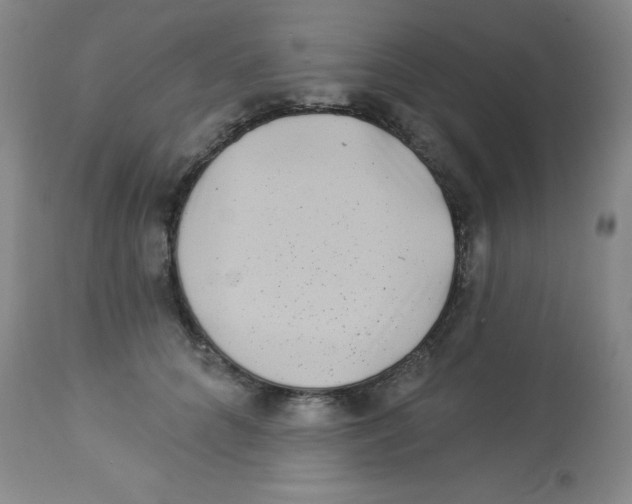 X0000113940704200910231944