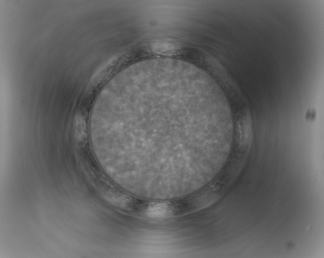 X0000113940705200910231944