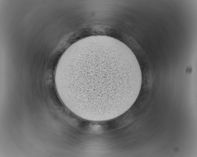 X0000113940706200910231944