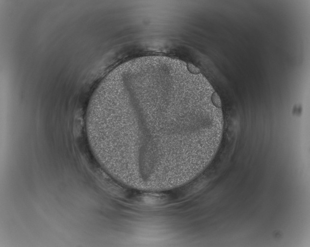 X0000113940707200910231944