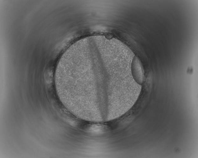 X0000113940708200910231944