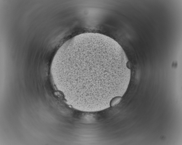 X0000113940710200910231944