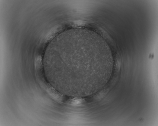 X0000113940711200910231944