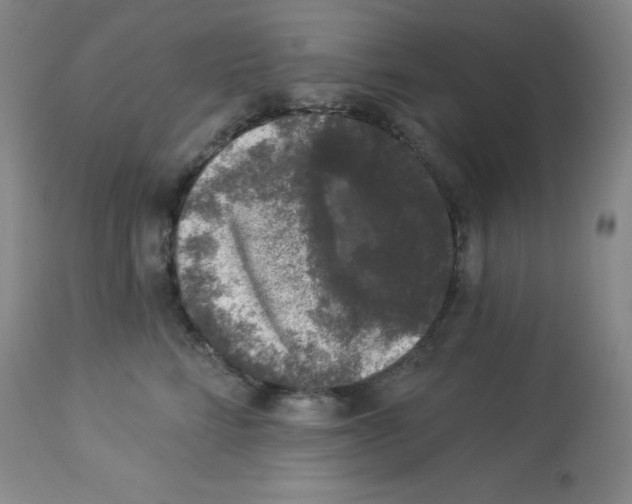 X0000113940712200910231944