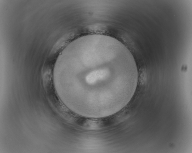 X0000113940713200910231944