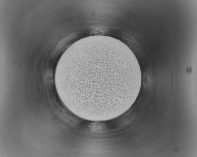 X0000113940714200910231944
