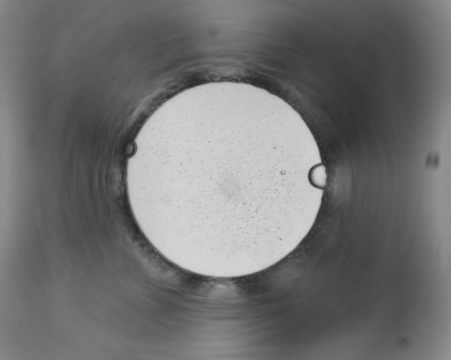 X0000113940715200910231944