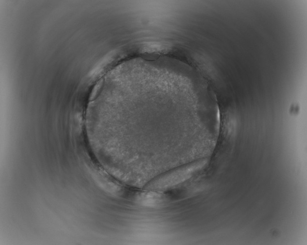 X0000113940716200910231944