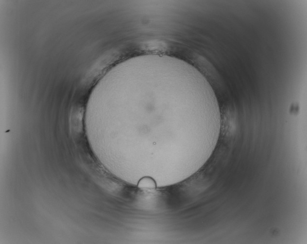 X0000113940717200910231944