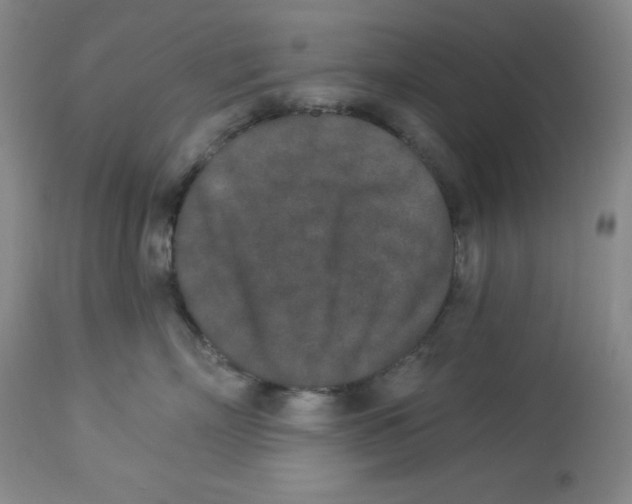 X0000113940718200910231944