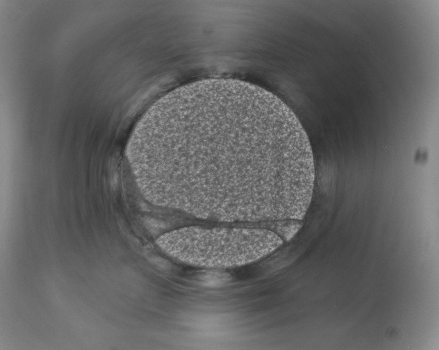 X0000113940719200910231944