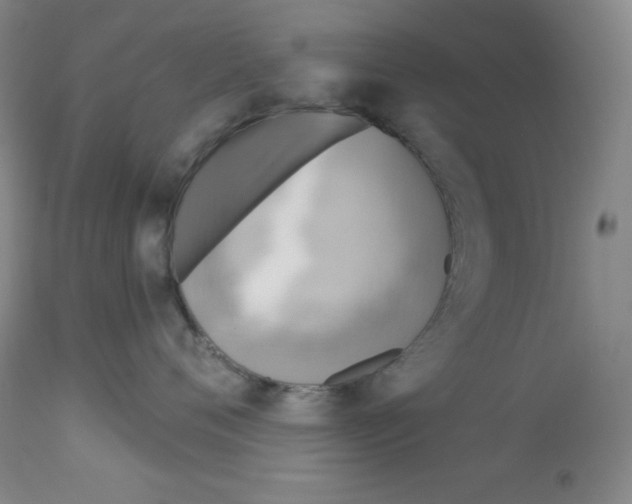 X0000113940720200910231944