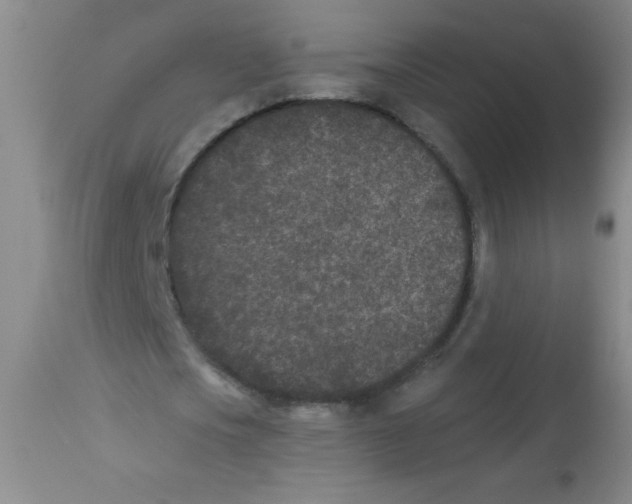 X0000113940721200910231943