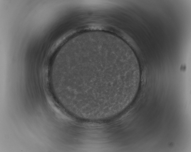 X0000113940722200910231943