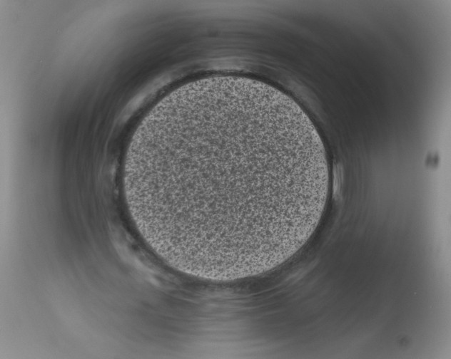X0000113940723200910231943
