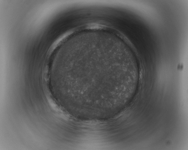 X0000113940724200910231943