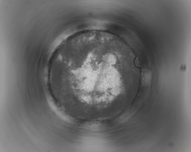 X0000113940726200910231943