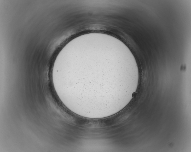 X0000113940727200910231943