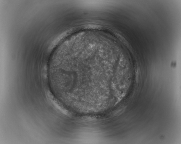 X0000113940729200910231943