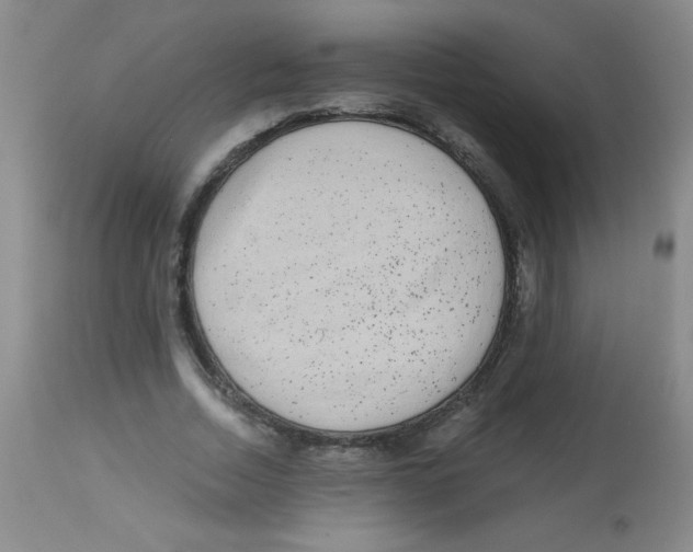 X0000113940730200910231943
