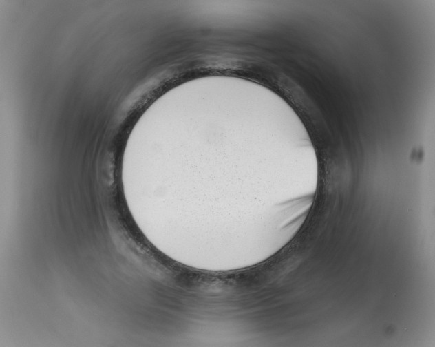 X0000113940731200910231943