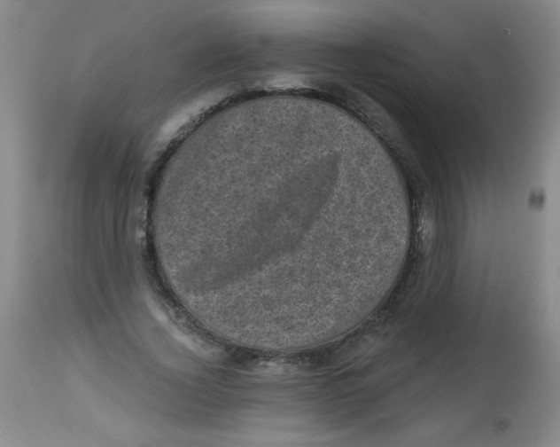 X0000113940732200910231943