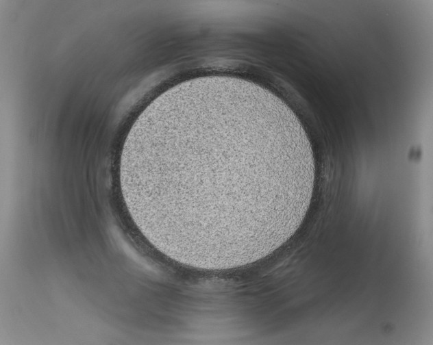 X0000113940734200910231943