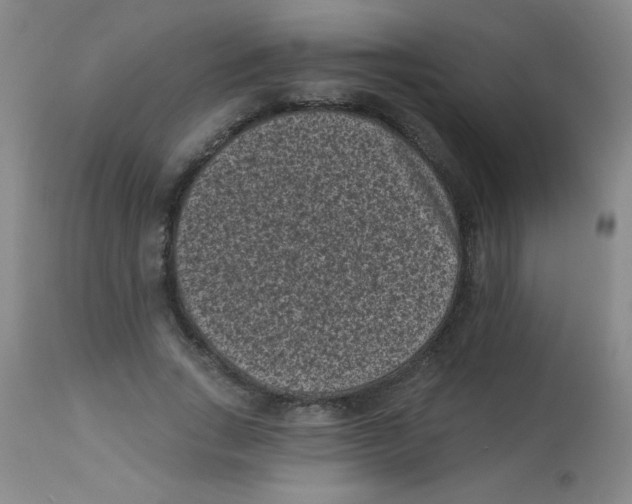 X0000113940735200910231943