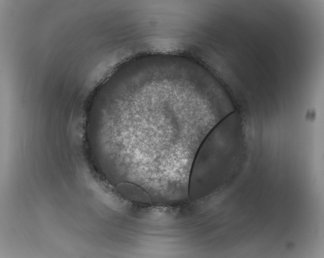 X0000113940736200910231943