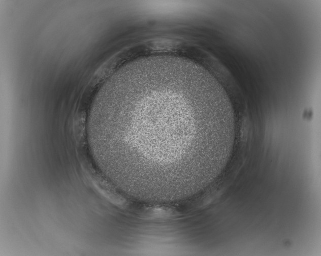 X0000113940737200910231943
