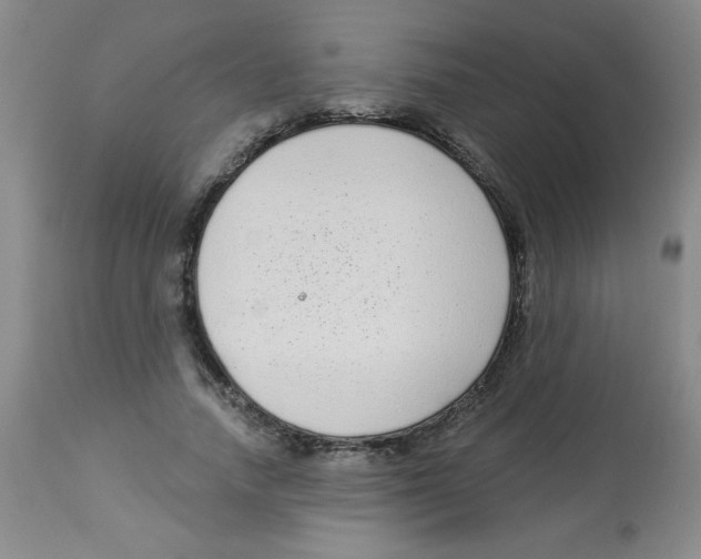 X0000113940738200910231943