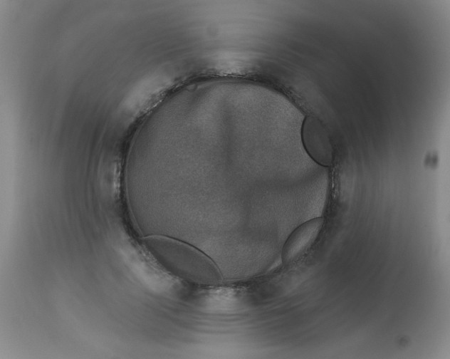 X0000113940740200910231943