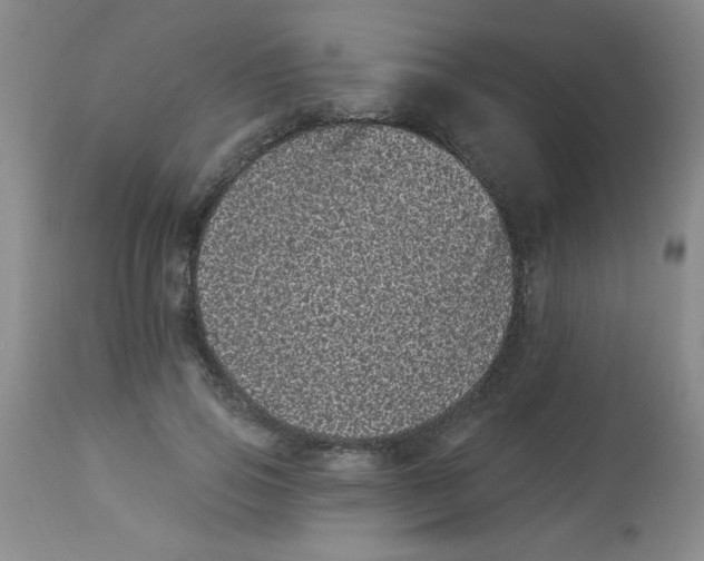 X0000113940741200910231943