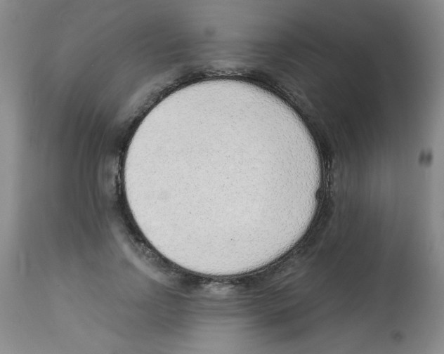 X0000113940742200910231943
