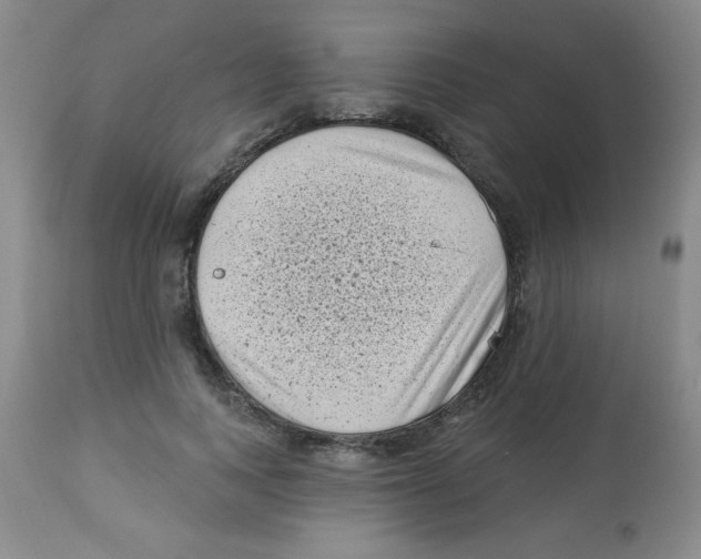 X0000113940743200910231943