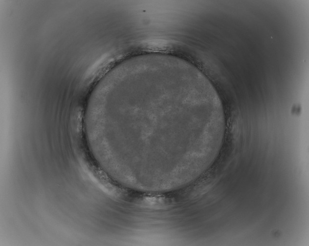 X0000113940744200910231943
