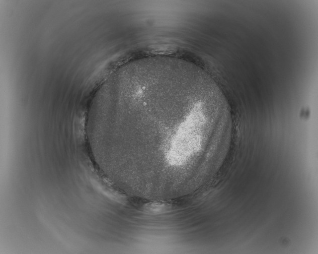 X0000113940745200910231943