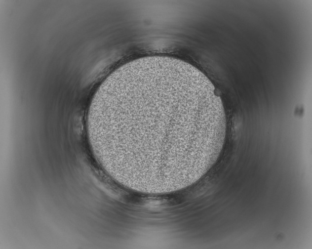 X0000113940746200910231943