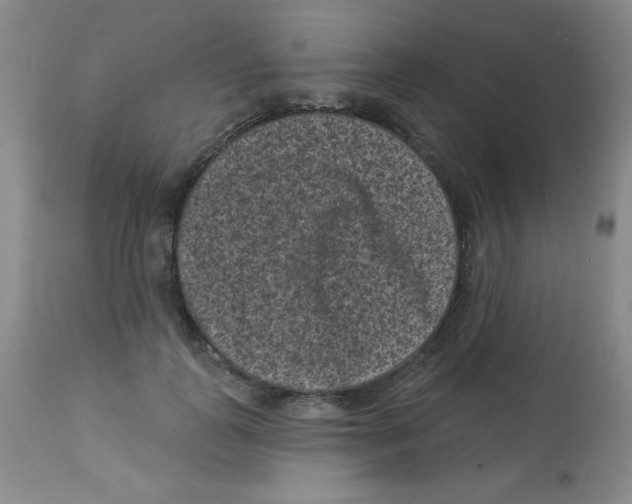 X0000113940747200910231943
