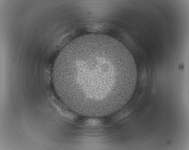 X0000113940749200910231943