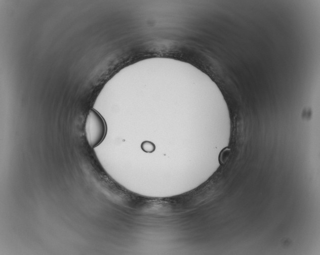 X0000113940750200910231943