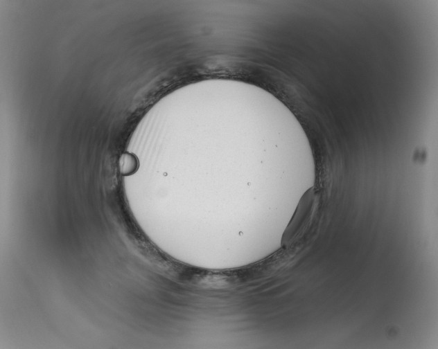 X0000113940751200910231943