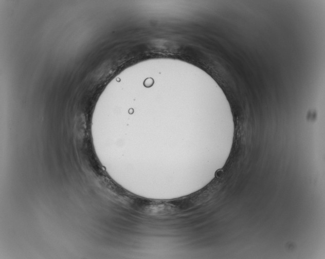 X0000113940752200910231943