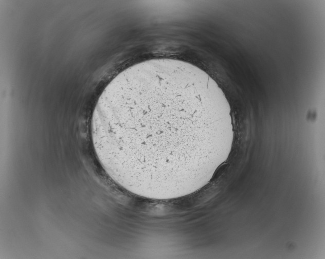 X0000113940755200910231943