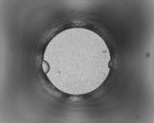 X0000113940756200910231943