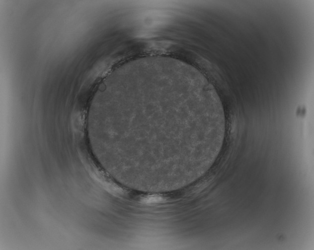 X0000113940759200910231943