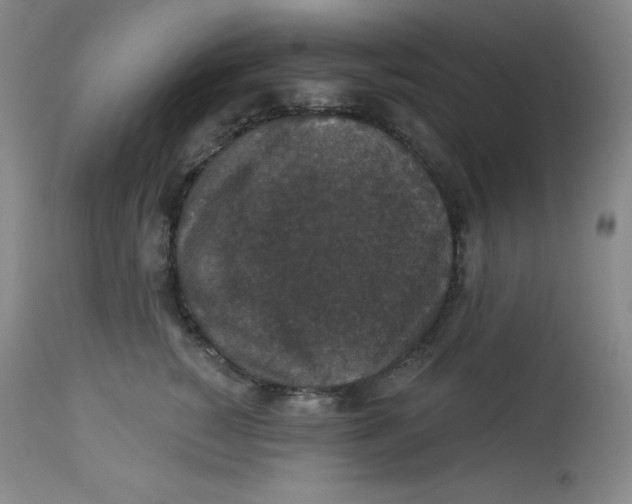 X0000113940760200910231943