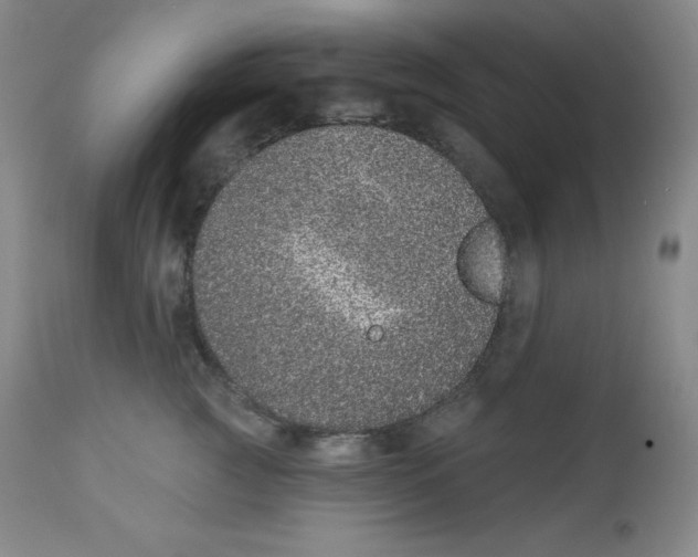 X0000113940761200910231943
